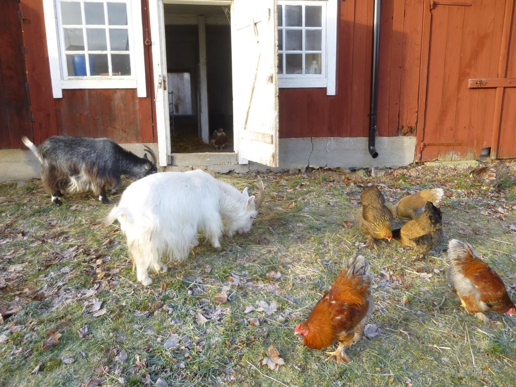 Kullagarden Villa Vreta Kloster Eksteriør billede